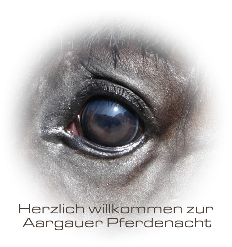Willkommen zu Aargauer Pferdenacht